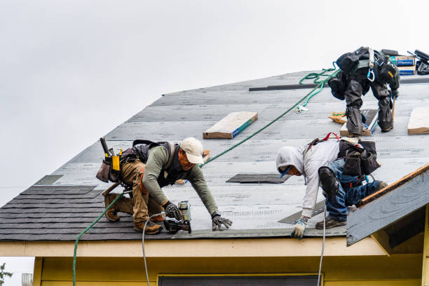 Professional Emergency Roof Repair technician working in Roscoe, MT